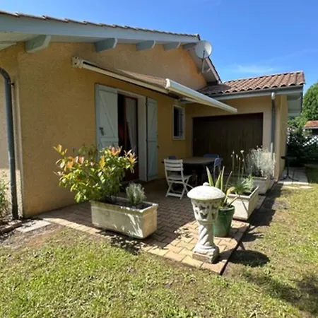 House 3 With Garden In *